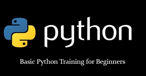 Basic Python Training for Beginners in Malaysia