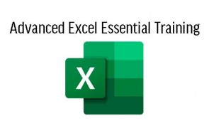 One Day Microsoft Excel 2013 Essential Training Course