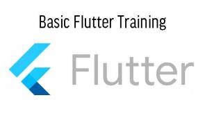Basic Flutter Training in Malayaisa
