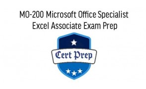 MOS Excel Exam 77-728 Prep in Malaysia