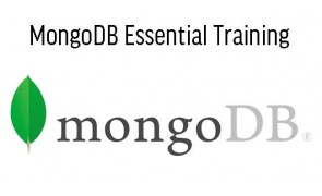 MongoDB Essential Training - Malaysia