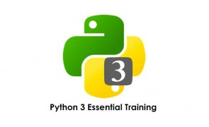 Python 3 Essential Training in Malaysia