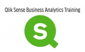 Qlik Sense Business Analytics Training in Malaysia