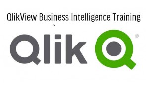 QlikView Business Intelligence Training  in Malaysia