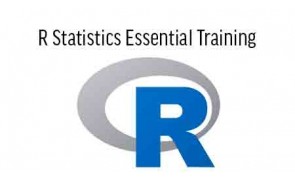R Programming and Statistics Training in Malaysia