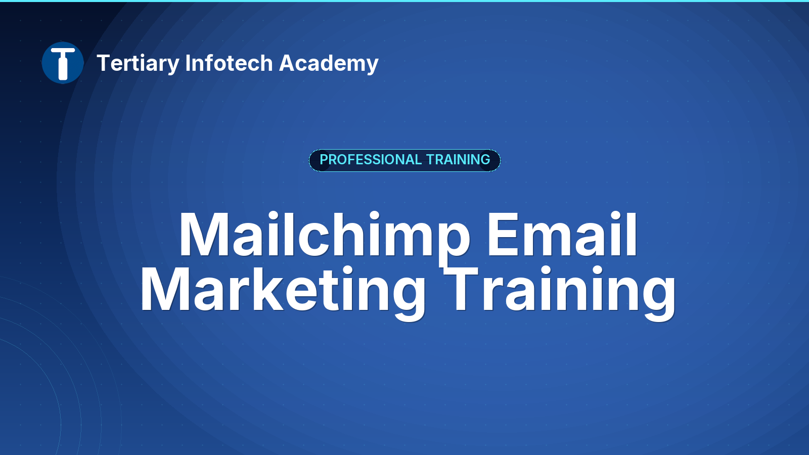 Mailchimp Email Marketing Training