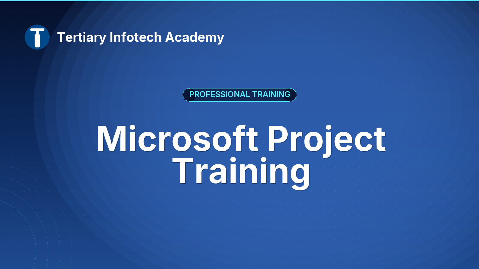 Microsoft Project Training