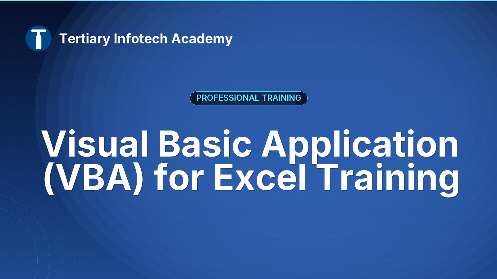 Visual Basic Application (VBA) for Excel Training