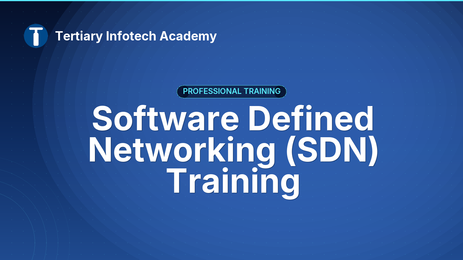 Software Defined Networking (SDN) Training